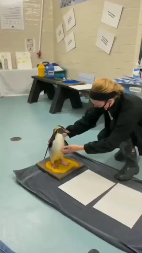 I wonder if they're hiring.