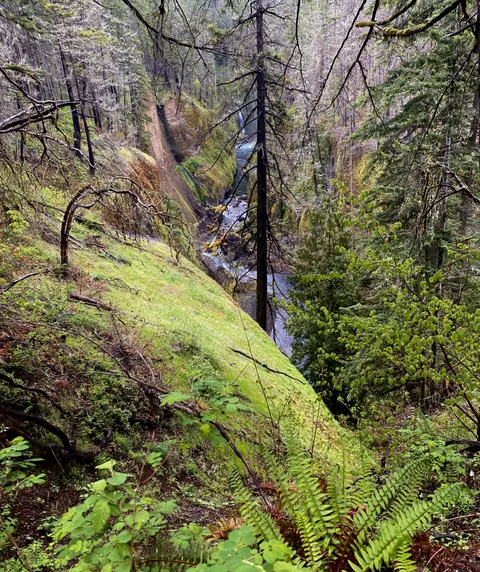 Columbia River Gorge, Oregon (3023x3602)(OC)