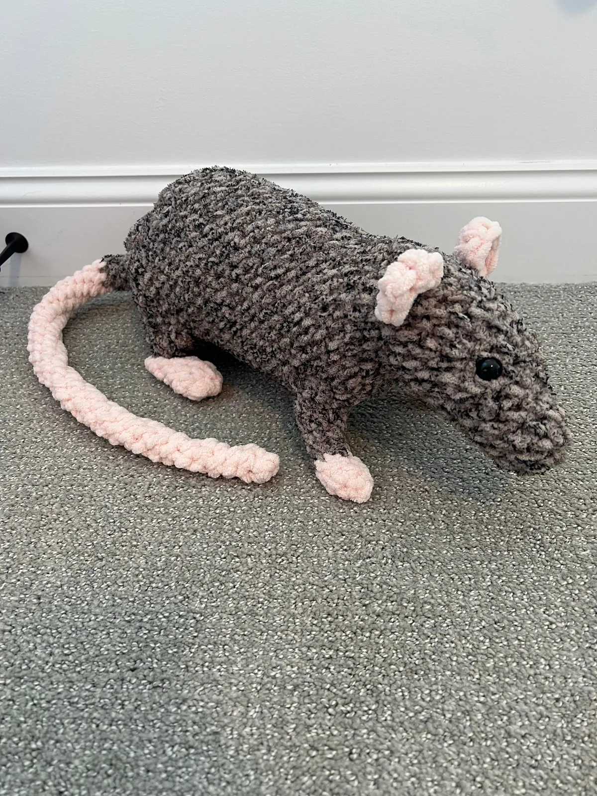 Guys are my rats ok?! They look a little funny…