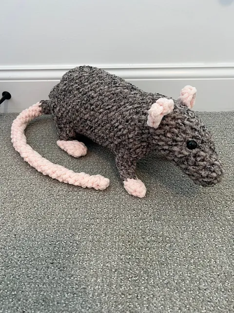 Guys are my rats ok?! They look a little funny…