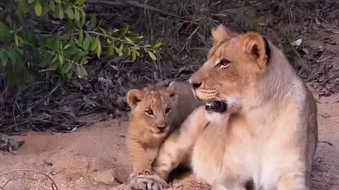 Big sister was playing too rough with her tiny brother, and he ran back to his mom's safety
