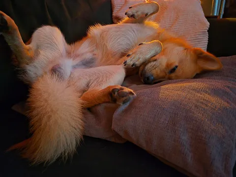 My bestest buddy Felix