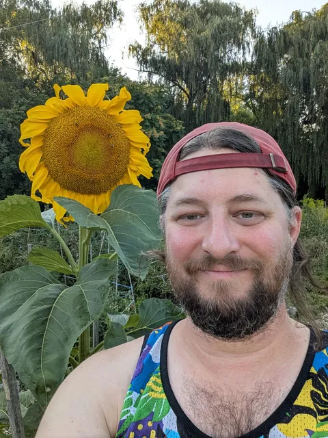 Sunflower!