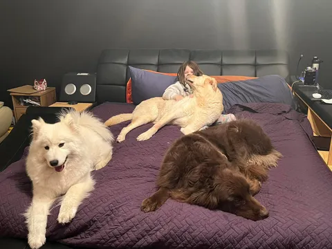 Great nursing care happens in the sickness ward at our house