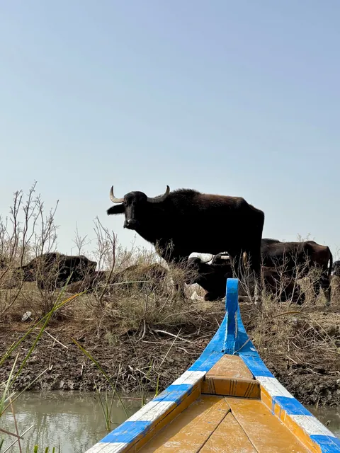 Pre-war trip to Iraq 🇮🇶 (Feb 2026)