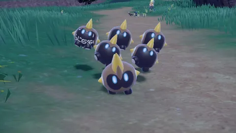 Why does my falinks have tattoos?