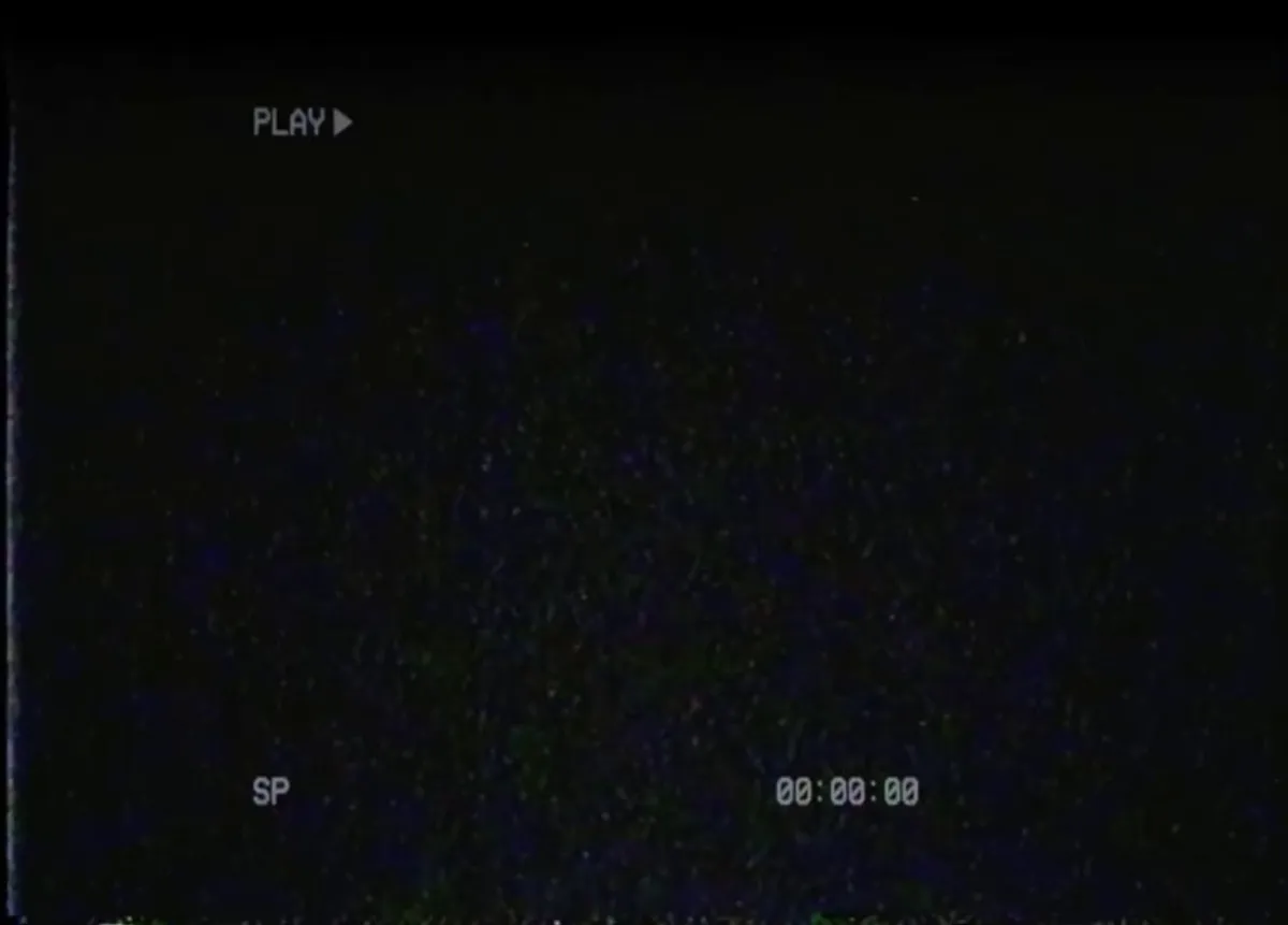 You set up a camera to see why your horse keeps making so much noise at night (jinsang 3d)