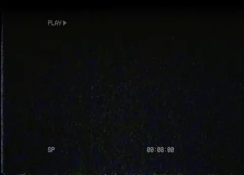 You set up a camera to see why your horse keeps making so much noise at night (jinsang 3d)