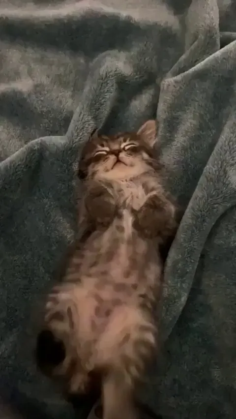 He’s riding a little bike!