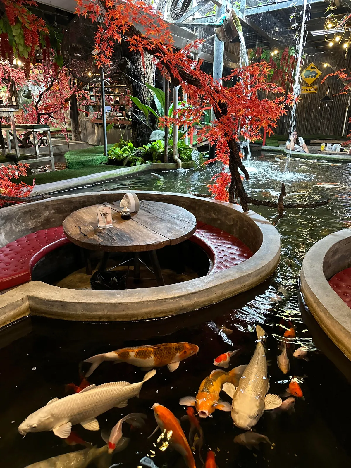 5 Days in Chiang Mai reflection. Slower Pace + Crisp Air + omg Khao Soi (curry noodle soup)