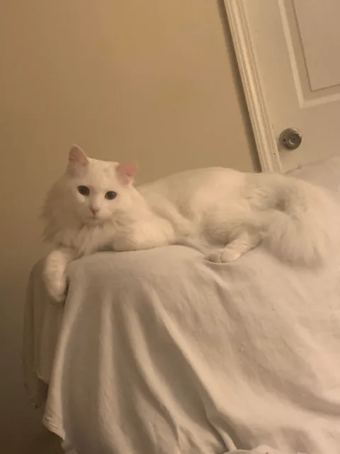 Just an appreciation post