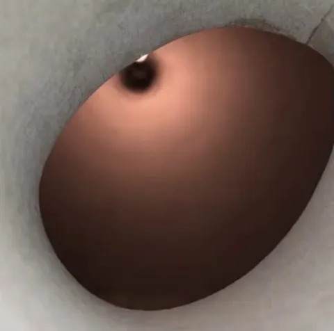 Cat sniffs inside a pringle can