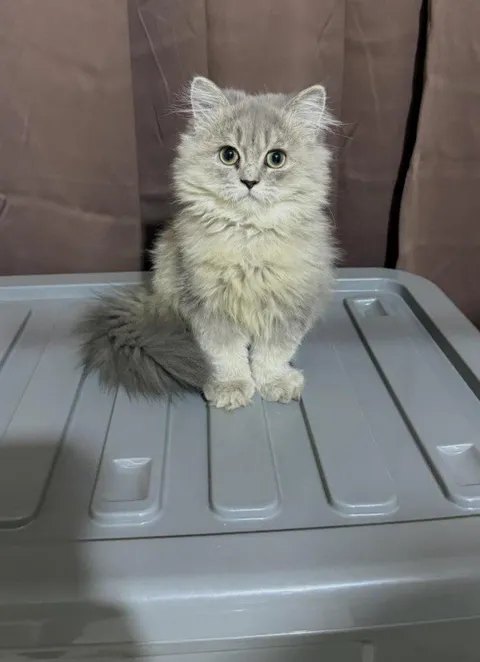 When you’re just about to pee and makes the unblinking eye contact with your bestie.