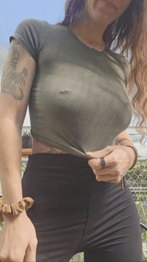 Pokies in my greenhouse this morning