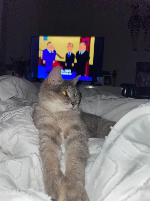 Teva Day 1 / Day 121