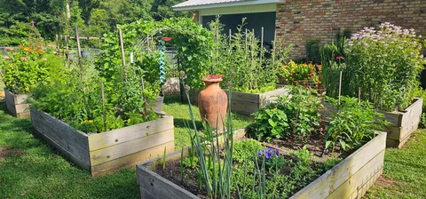 My Wife's Raised Bed Garden Over the Years