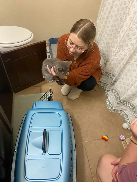 Found this stinky girl in a sonic parking lot 🥺💗