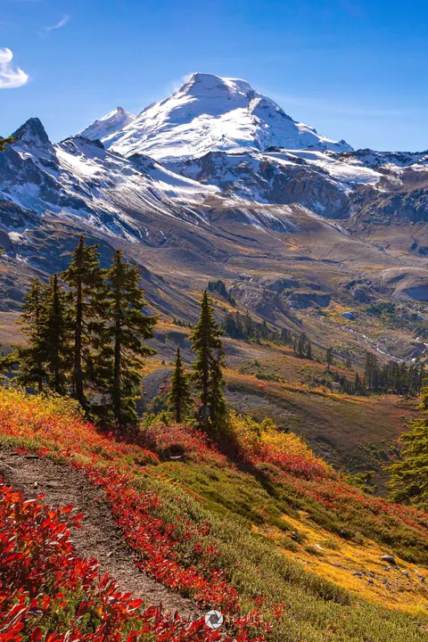 Mt Baker with autumn colors, W, USA [1366x2048][OC]