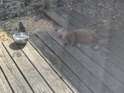 Sadie is absolutely terrible at her day job as the resident pest control.