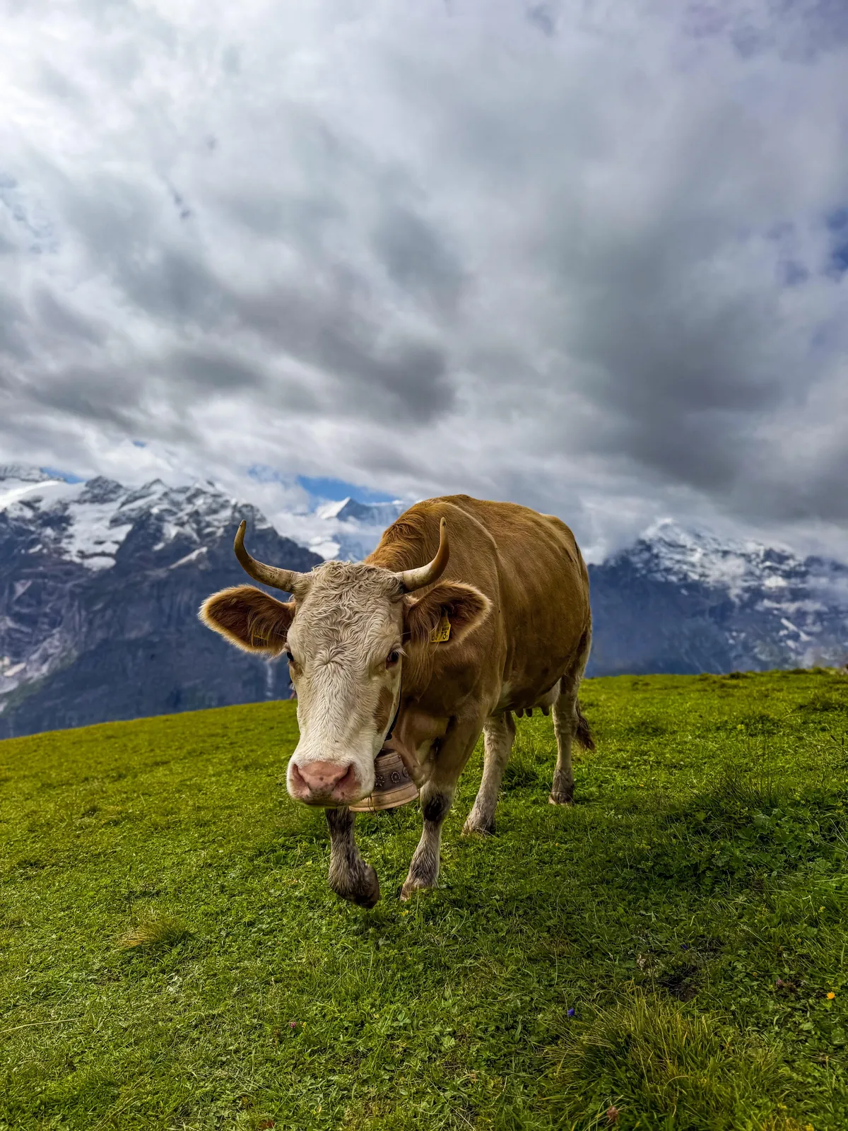 2 weeks hiking &amp; summer skiing in Switzerland August 2025 - Lauterbrunnen, Grindelwald, Thun, Zermatt, Lucerne