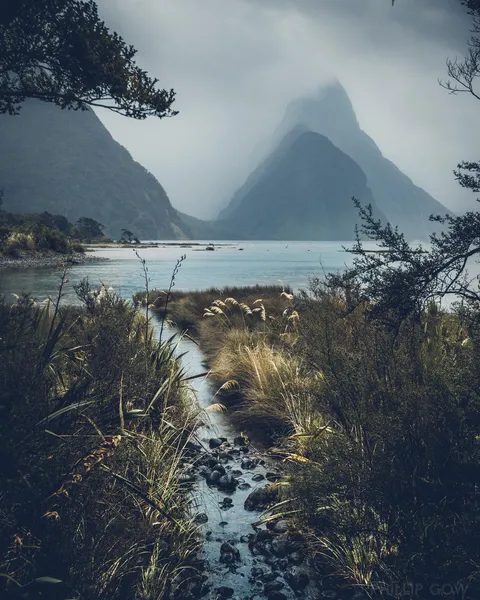 The worse the weather, the better this place looks. A moody day at Milford Sound, New Zealand [OC][1294 × 1617] @phillipgow