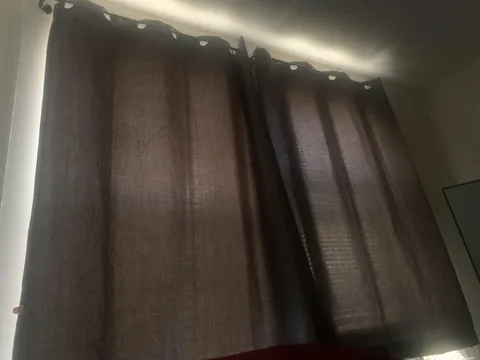 These “blackout” curtains I bought from Target