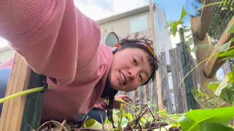 I harvested sweet potatoes today and I shrieked