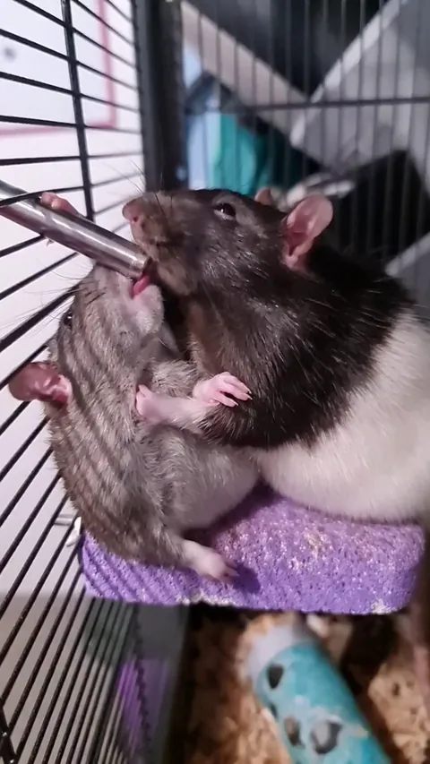 Make out with me underneath the water bottle bro