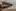 Starship S40 returning back to Starbase