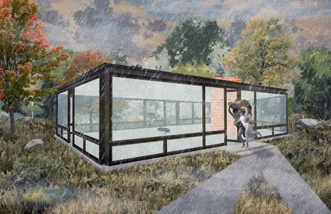 illustration practice