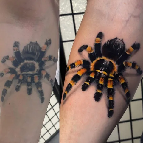 Spider tattoo refreshment after 5 years. Both done by Kaja Opasiak in Szczecin, Poland.