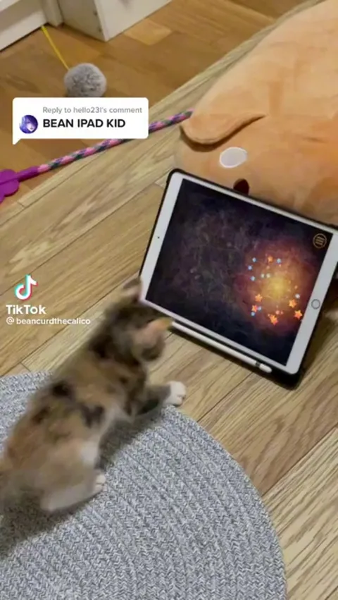 Graceful hunting practice