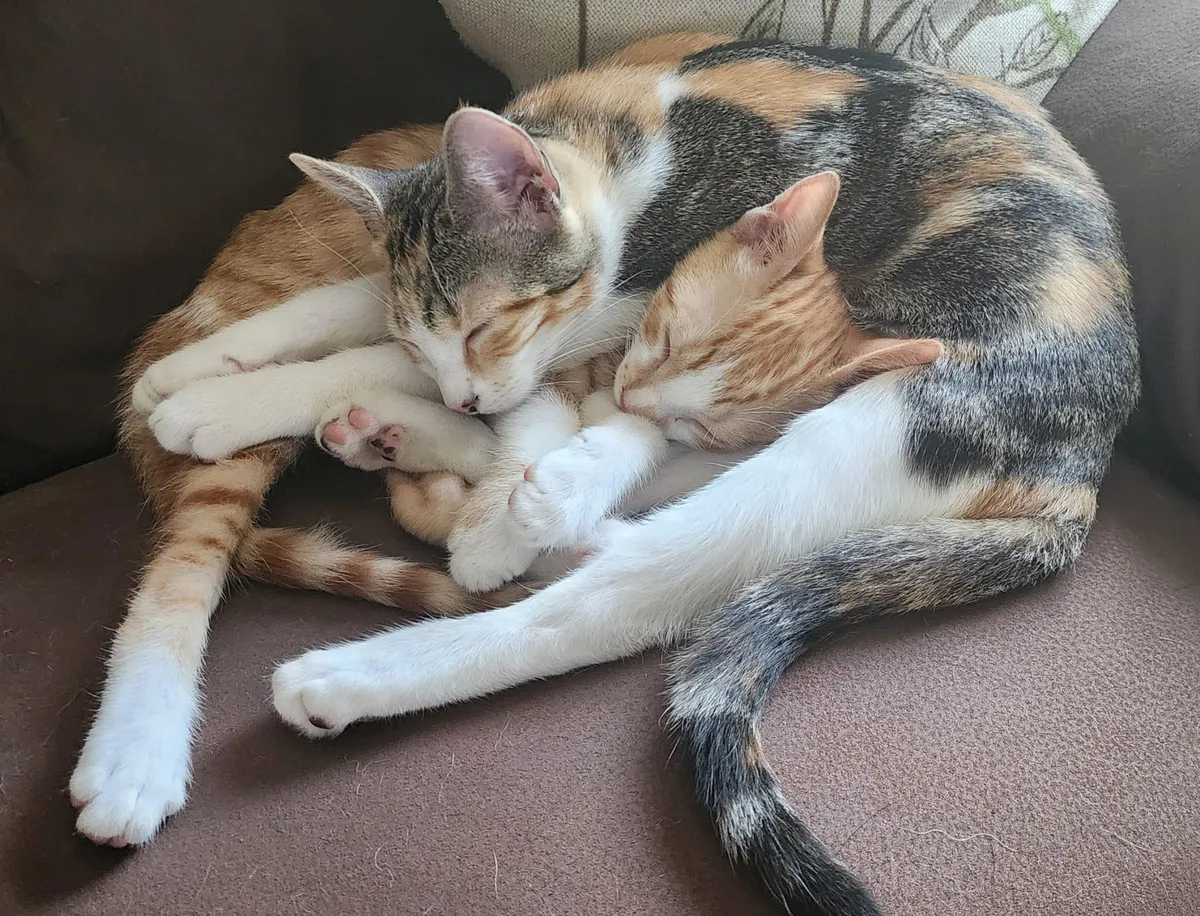 We were worried they wouldn't get on.