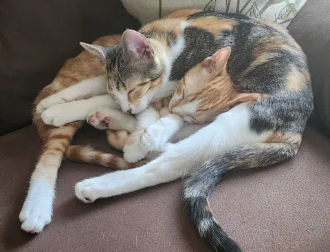 We were worried they wouldn't get on.