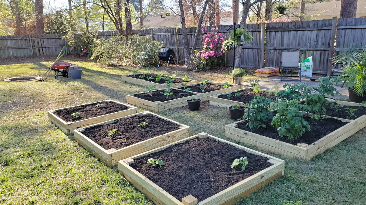 What my wife and I have been doing during the quarantine.