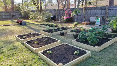 What my wife and I have been doing during the quarantine.