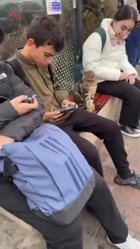 This cat made a new friend at the bus stop, had to test the vibes first! 😸