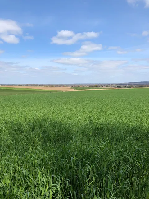 This picture of Netherlands that proofs it does have hills