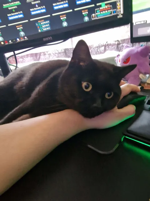 This is my arm now