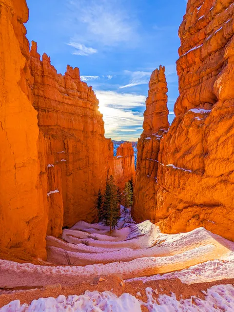 Bryce Canyon National Park, Utah (OC) [2870 x 3826]