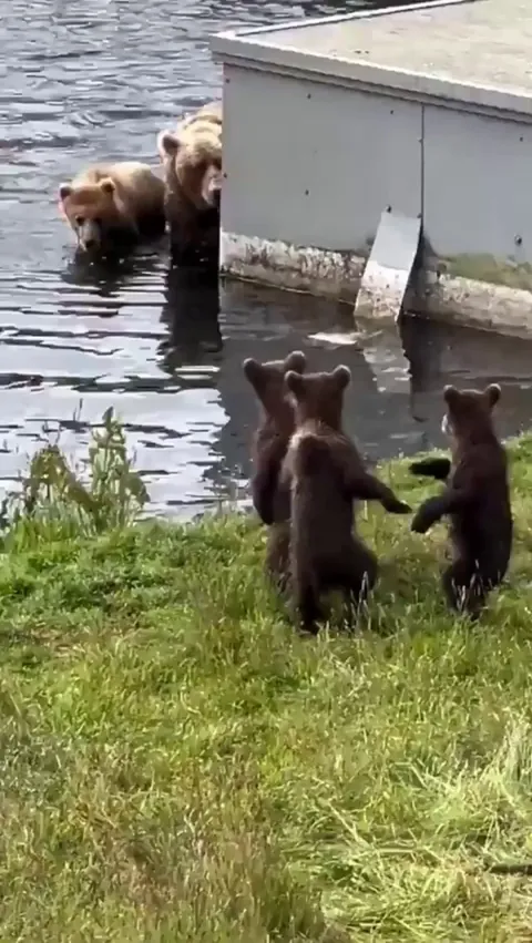 “You go first..”

“No, you go first.” 😂