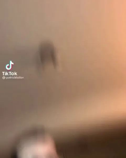 Grow up Karens. OP: u/greenspath