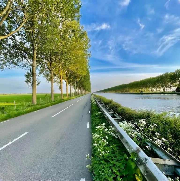 Each slide is only one picture