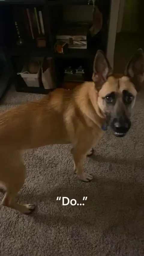 He's so excited 😭