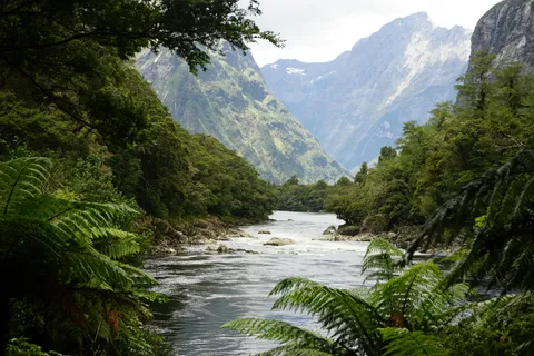 Finished the Milford Track - New Zealand