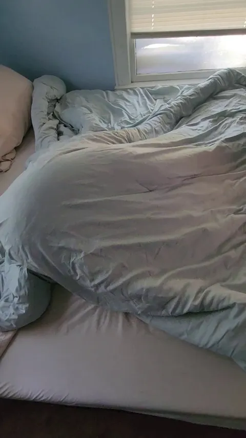 Every time I make the bed, I get the Blanket Shark (do do do do do do 🎵)