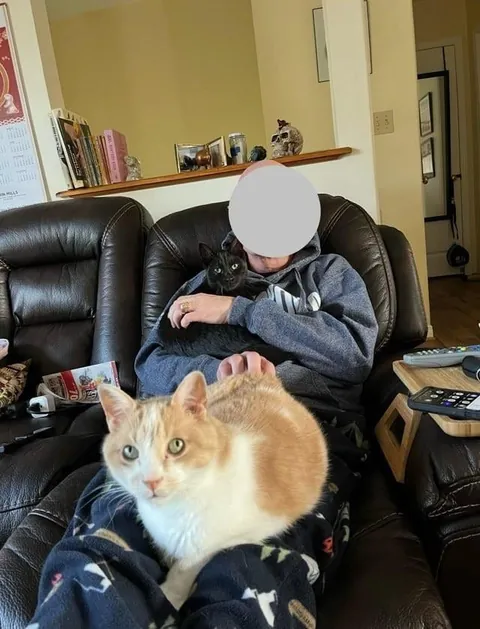 Toblerone was returned to the shelter for being “too needy”, but we love his neediness🖤