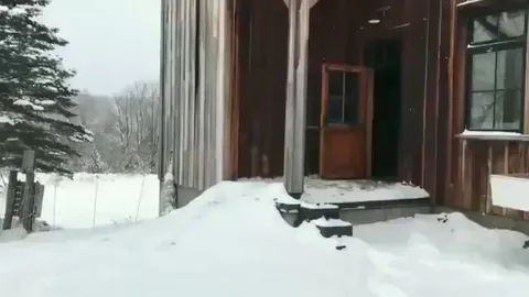 Please enjoy these ducks changing their minds