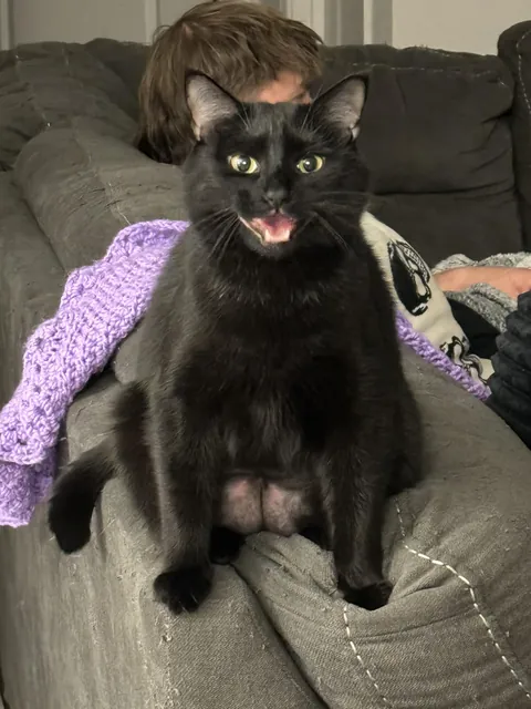 My girl got her belly shaved for a procedure and I got this absolute glamour shot.