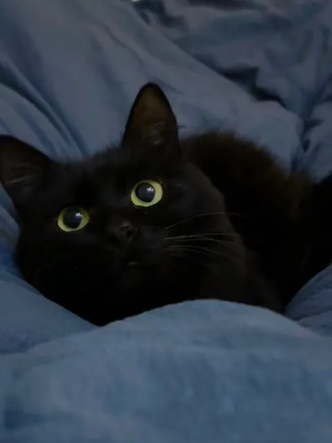 Healing me every day